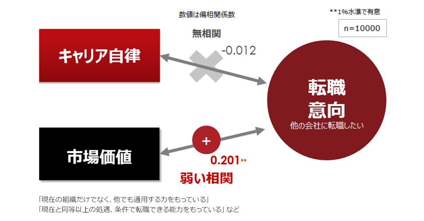 業務経験率とキャリア自律に対する影響（全年代）