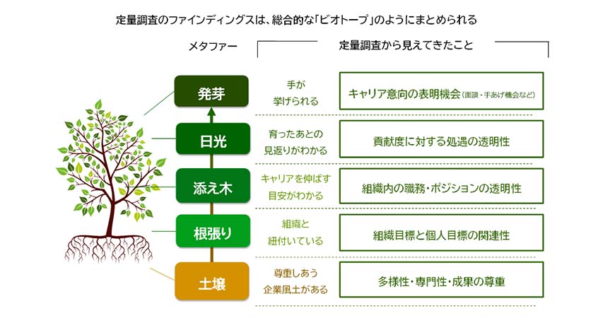 図２：キャリア自律のビオトープ・モデル（生息空間モデル）