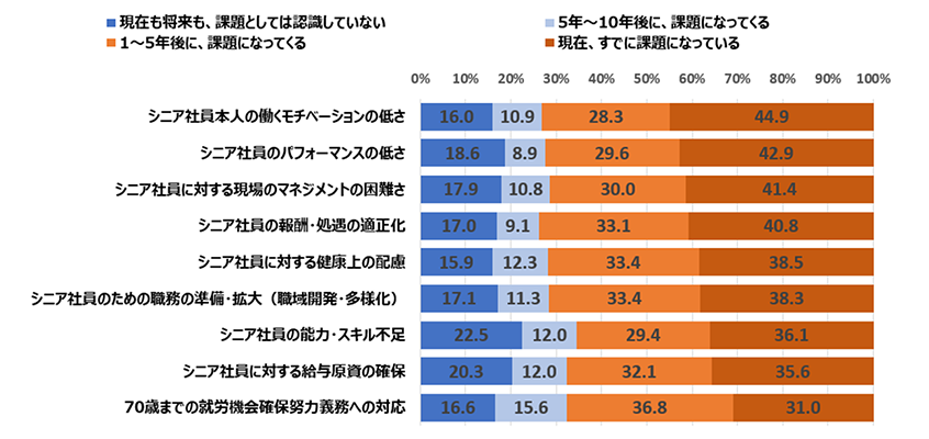 シニア人材に対する具体的な課題感