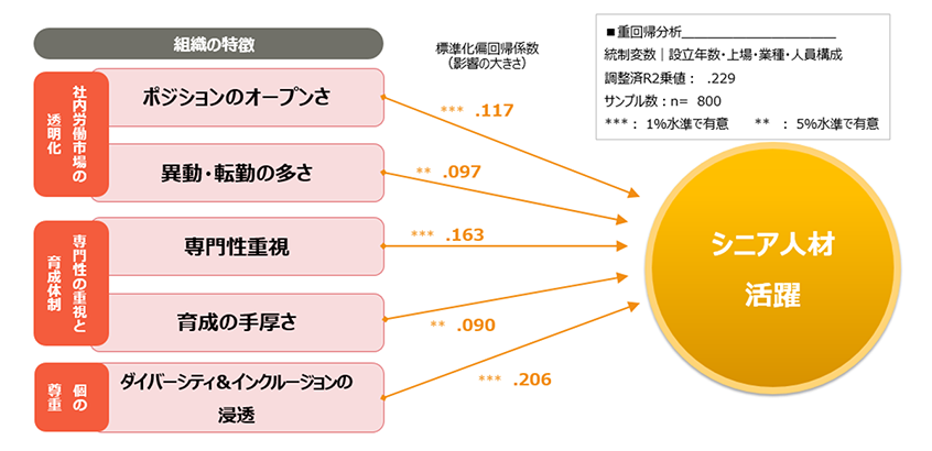 組織の特徴とシニアの活躍の対応