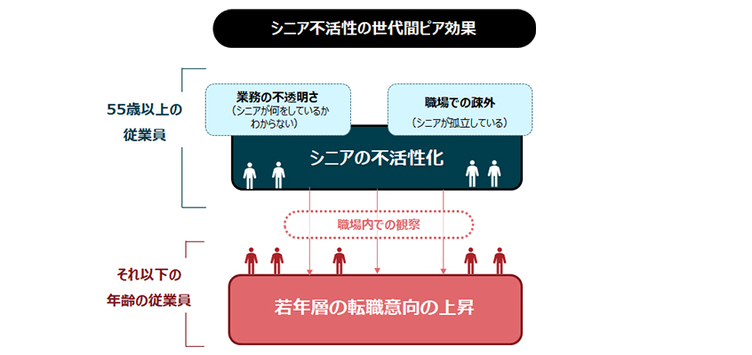 シニア不活性の世代間ピア効果