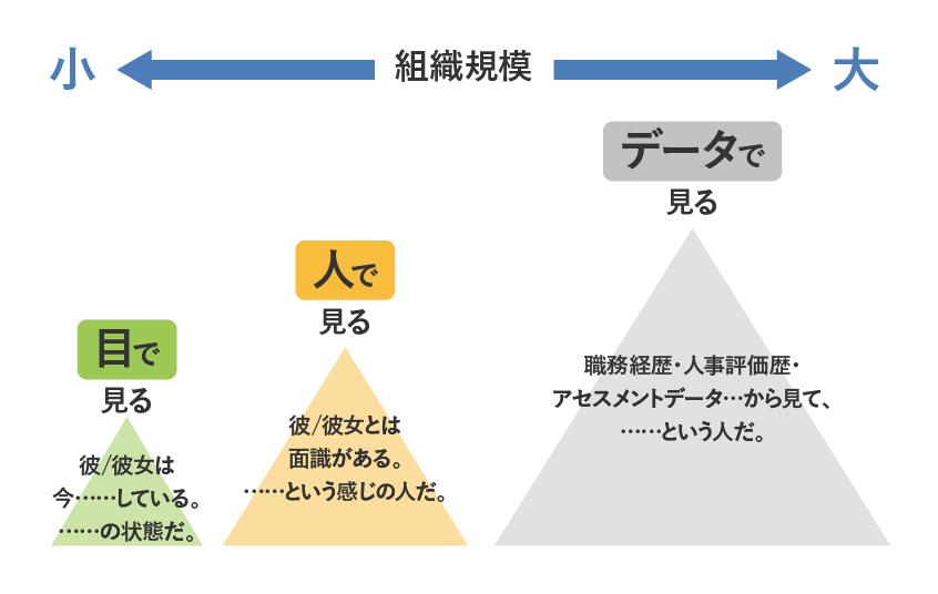 図3：組織規模と人材の見える化