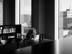 woman_office-300x224.jpg