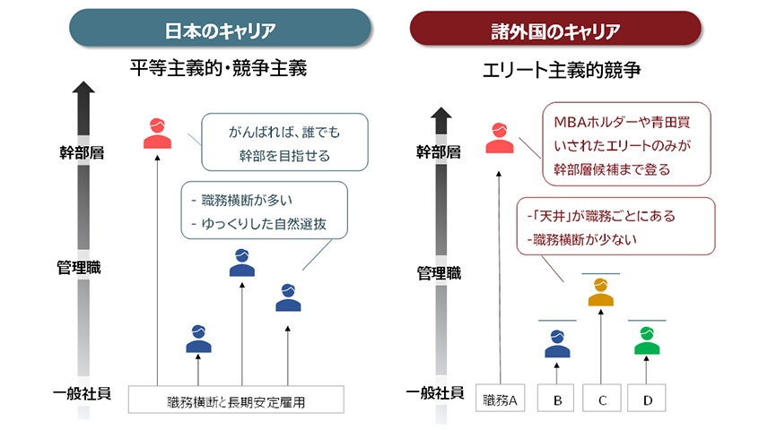 図３：日本と諸外国の昇進構造の違い