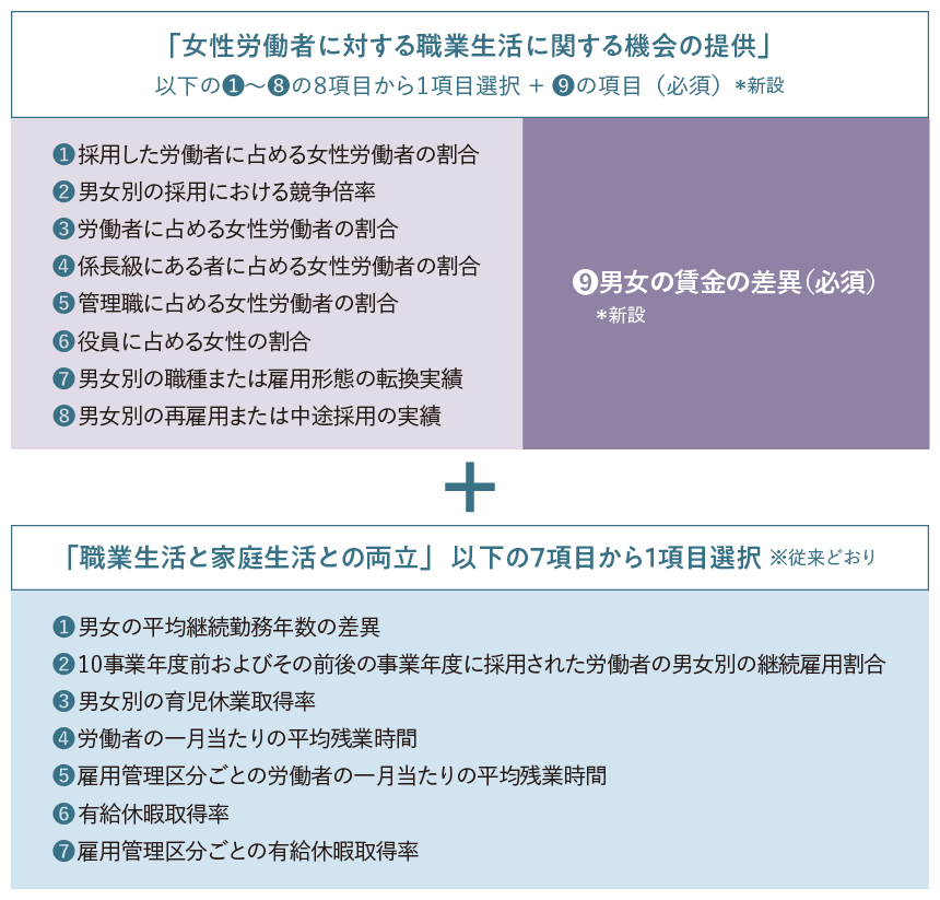 各区分の情報公開項目