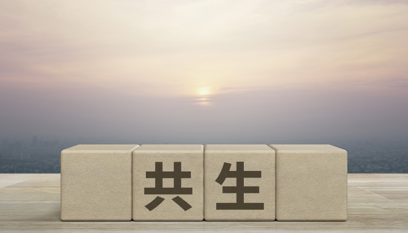 外国人との「共生」を果たしている地域はどこか―共生を支える「顔の見える関係」づくり